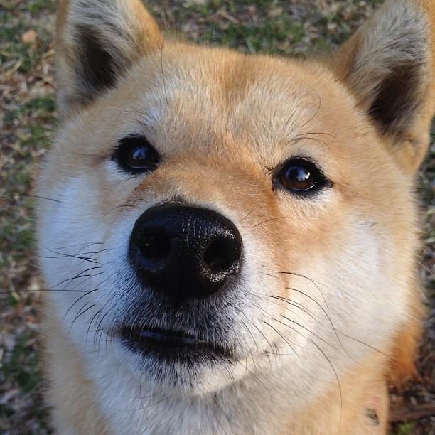 中国篮球文化节庆祝活动盛大举行,篮球文化艺术节