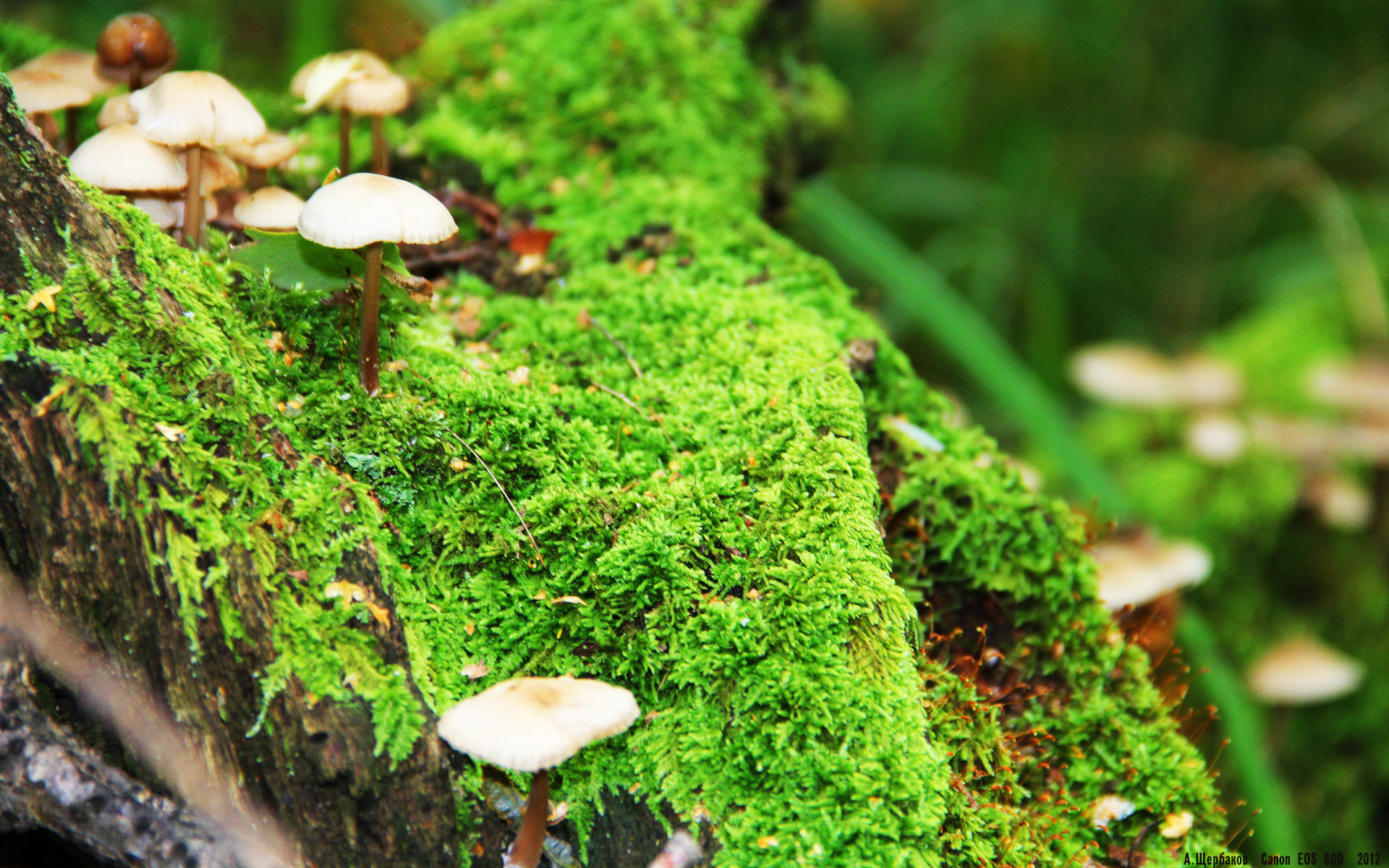 九游娱乐官网 (JIUYOU)-凯尔特人在倒数第四节发力，塔图姆神奇表现助球队取胜！，18赛季凯尔特人塔图姆数据