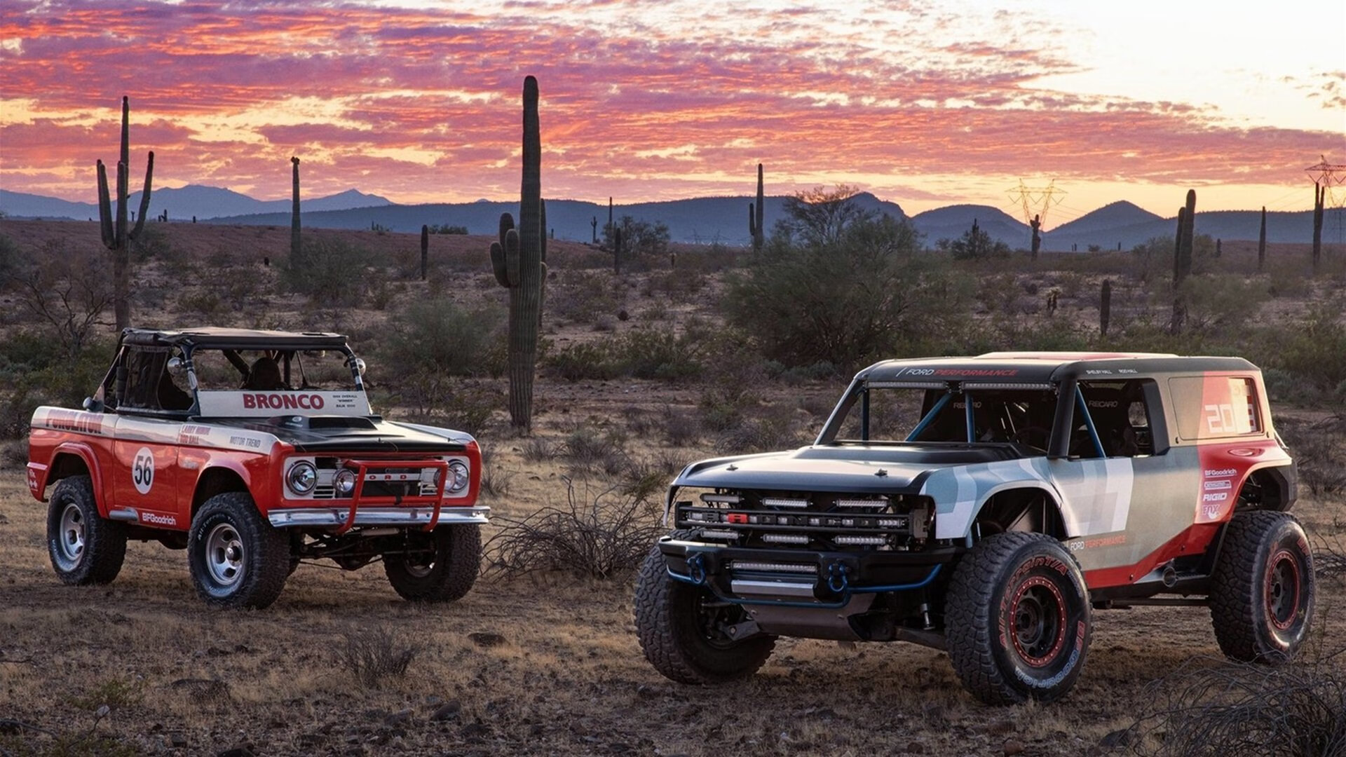 九游app官网下载-巴西马术队在巴黎奥运会盛装舞步比赛中获得第八名，展现出色表现。