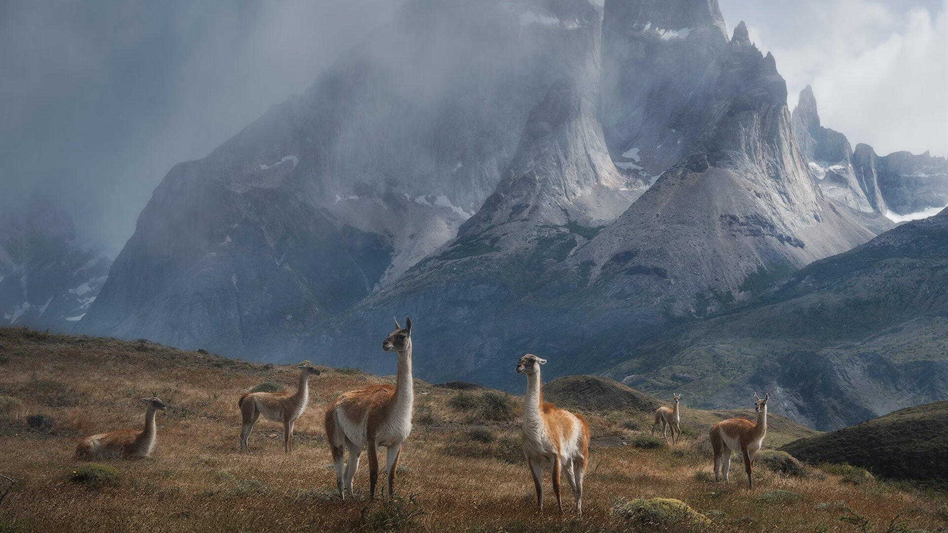 巴西马术队在巴黎奥运会盛装舞步比赛中获得第八名，展现出色表现。