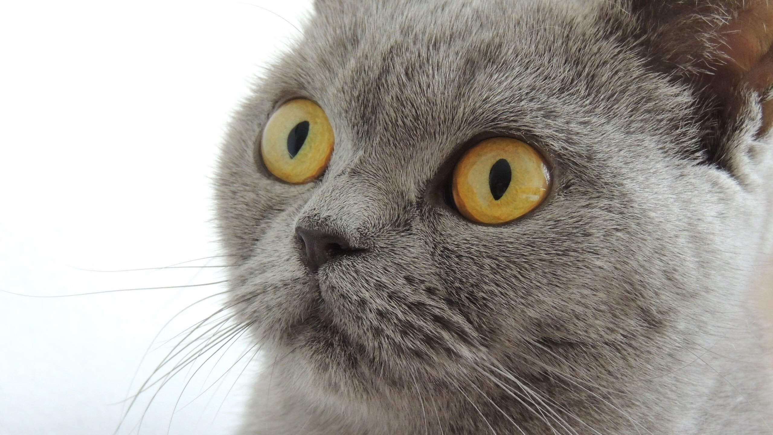 九游娱乐(jiuyou)官网-篮球赛事安全保障措施日趋完善，篮球比赛保障