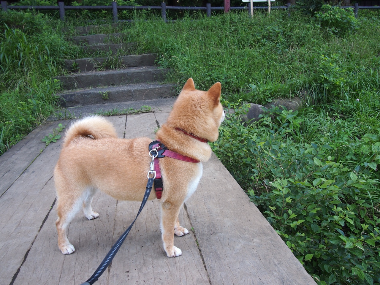 中超积分榜风云变幻,谁能笑到最后?,中超积分榜风云变幻,谁能笑到最后呢