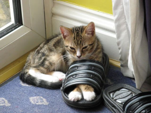 公牛大胜太阳，常规赛巅峰对决中德罗赞末节爆发，公牛签下德罗赞