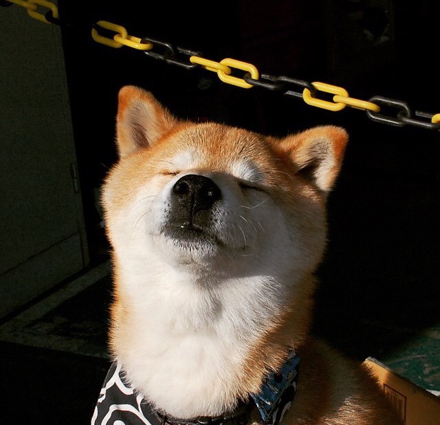 夺冠热门赛前磨刀霍霍，决不手软！