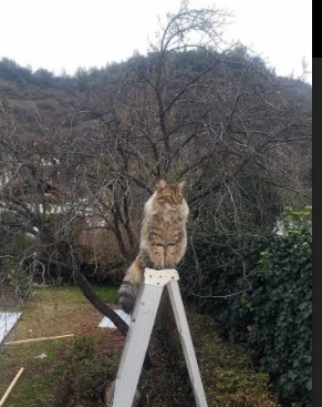 九游娱乐官网 (jiuyou)-欧国联冠军争夺激烈，胜者将尽夺新，欧国联冠军名单