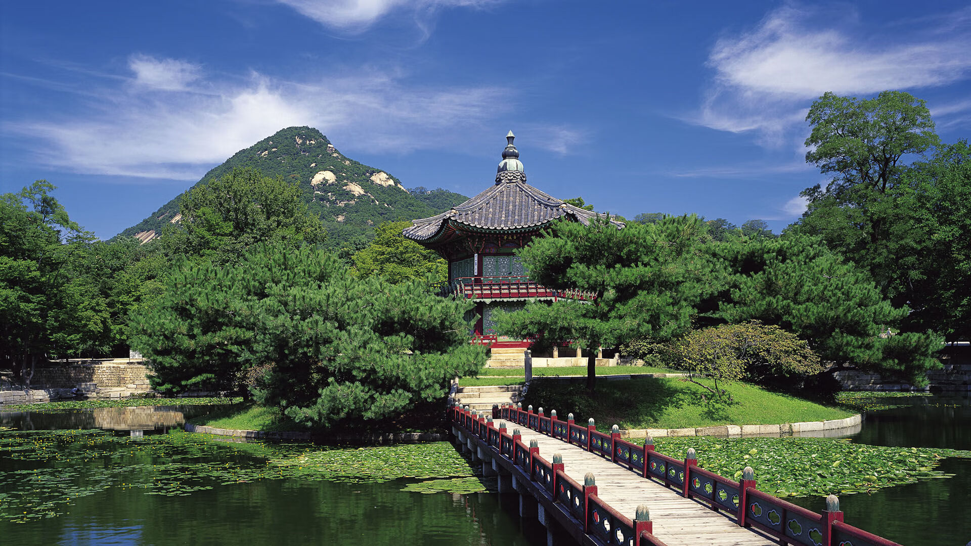 九游（jiuyou.com）游戏-梦幻的夜晚：一场决赛带来激动人心的时刻，梦幻夜晚背景图