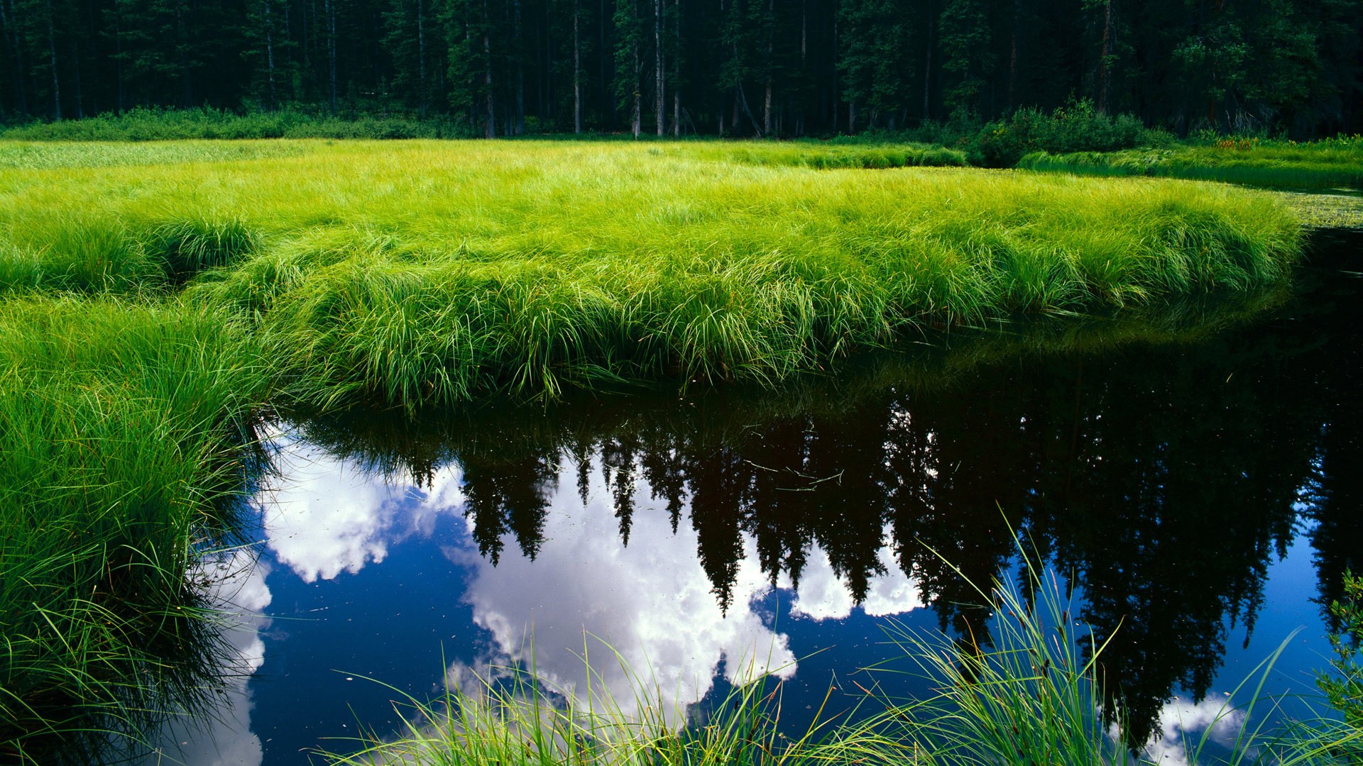 九游app官网下载-森林狼险胜雷霆唐斯统治禁区，森林狼雷霆绝杀