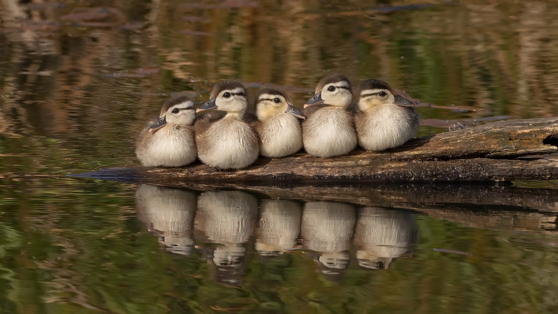 九游9游-桑托斯调整战术阵型，桑托斯怎么样