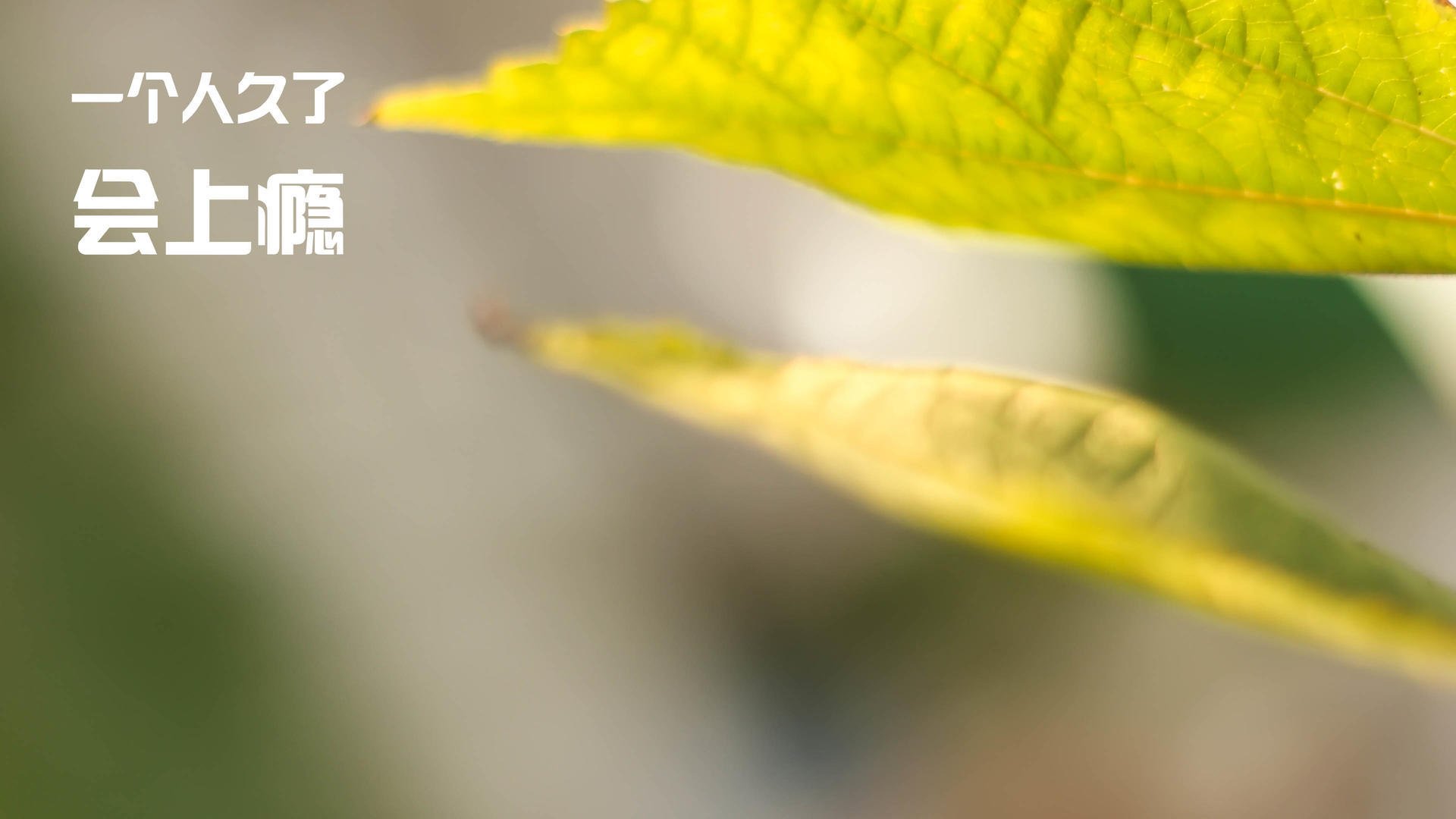 篮网杜兰特回归即砍三十加,篮网杜兰特上场了吗