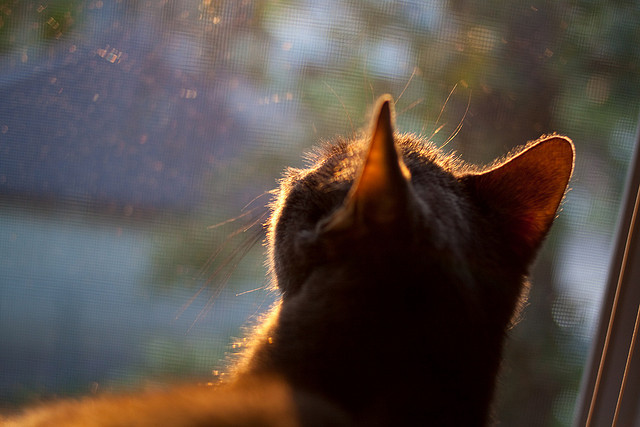 全国青少年体育舞蹈大赛青春光彩耀眼,全国青少年舞蹈展演