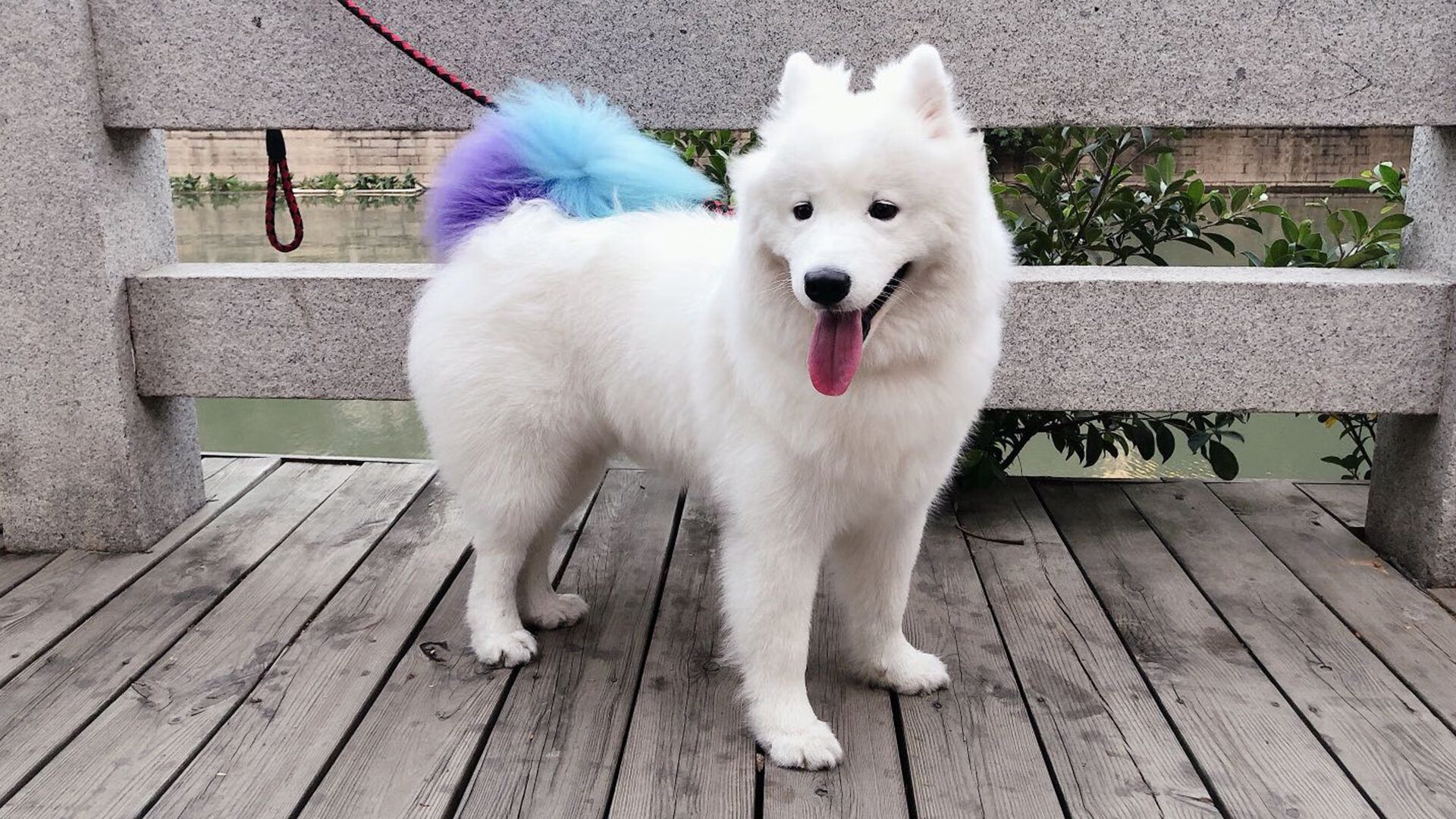 国足边锋角色功能转型趋势追踪,国足左边锋