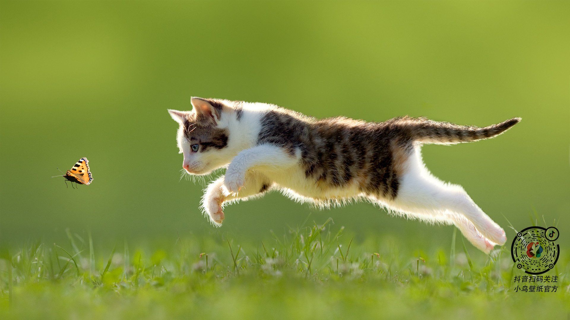 篮球运动员竞技心理韧性培养方案及效果研究,篮球运动员的心理选材