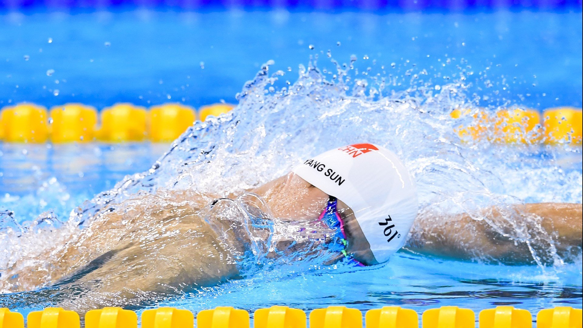 九游娱乐(jiuyou)官方网站-“四川省体育馆：自由搏击赛事，选手们展开血脉喷张的极限对抗！”