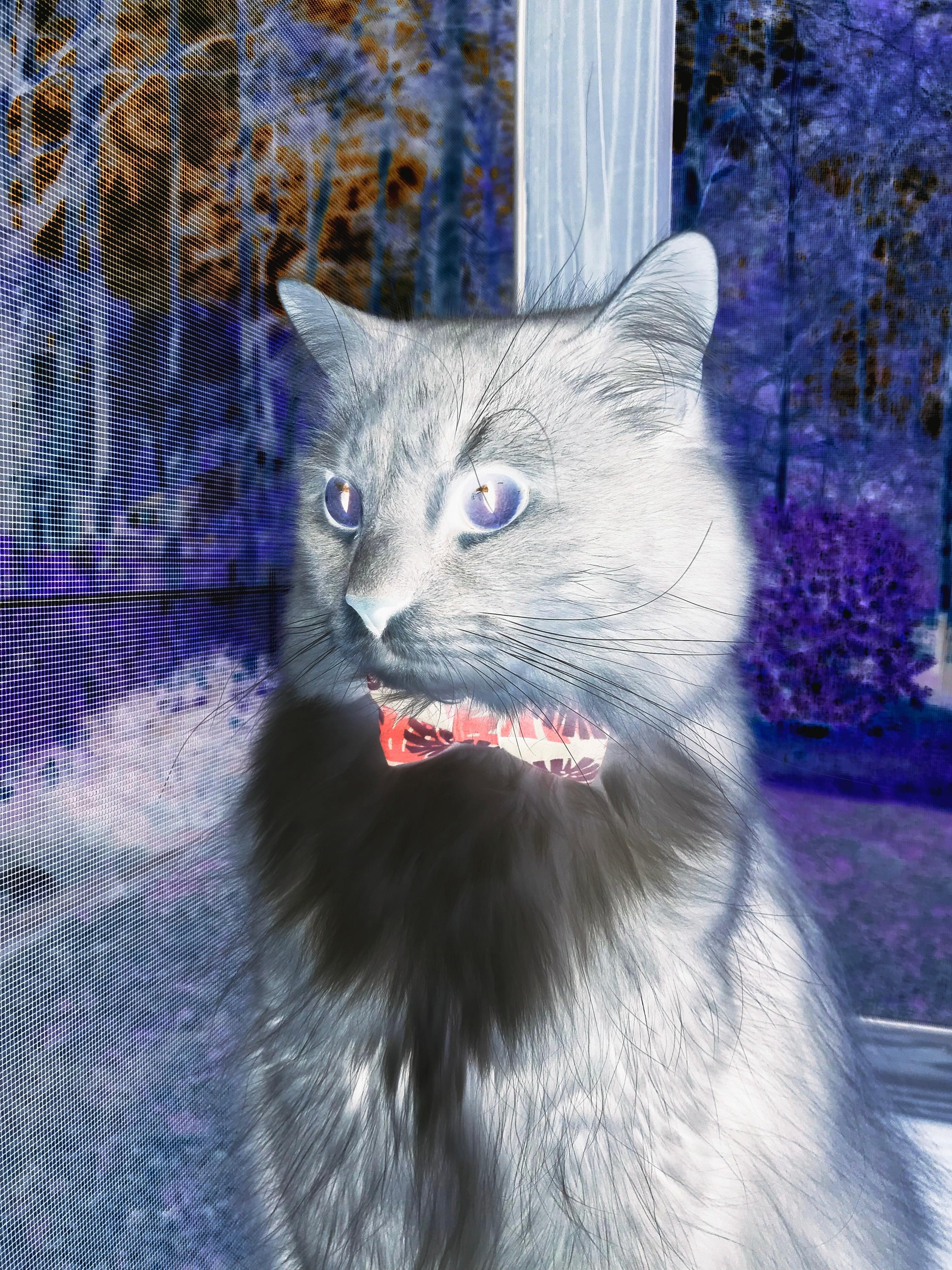 九游官网pc-出发弹跳力提升，迅速抢占先机，弹跳力爆发力