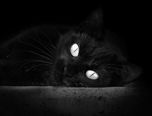 巴尔：凭借出色的防守意识和球场阅读能力，他是全黑队的防守中坚