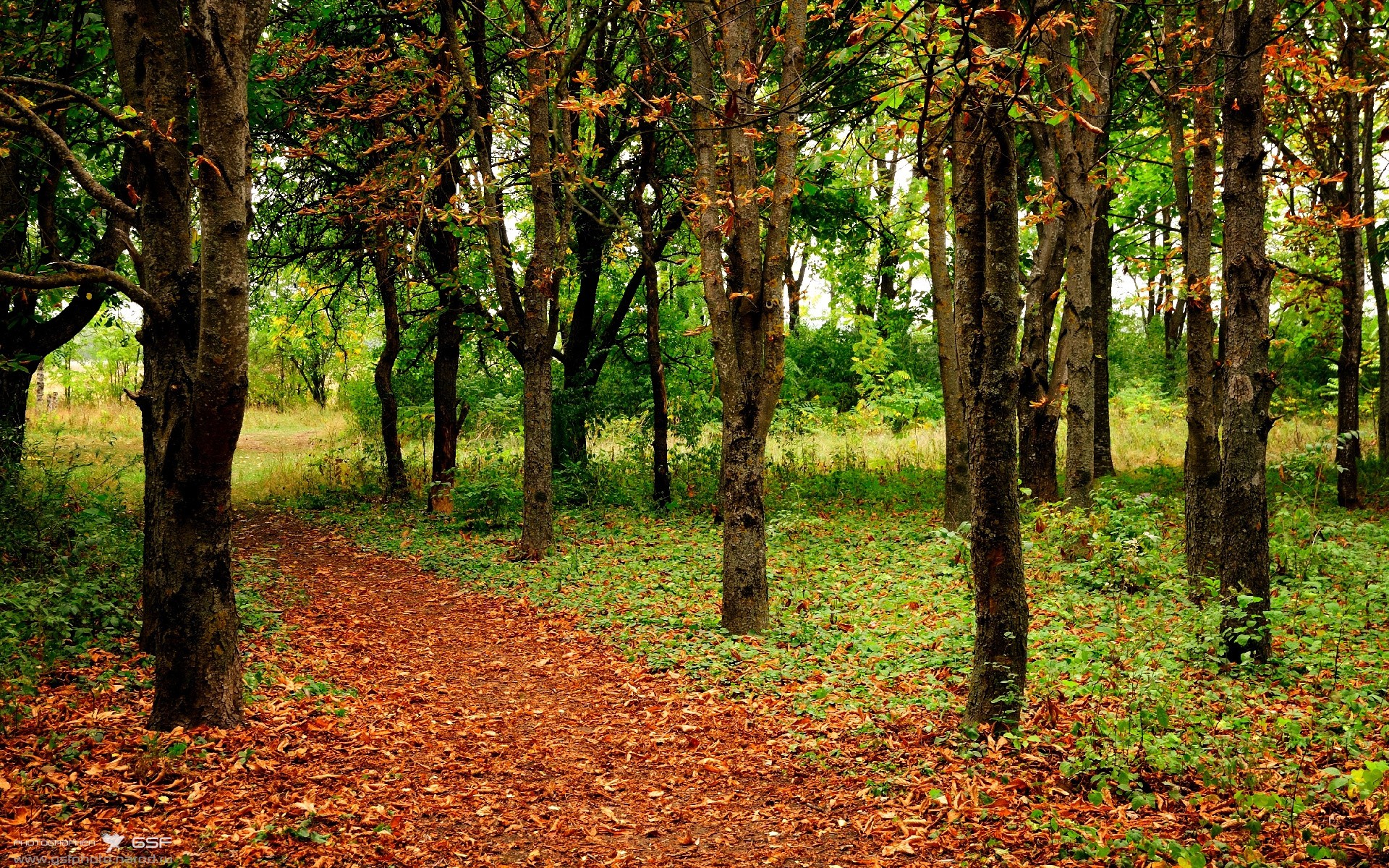 英超终场哨响：极速反击摘得胜利，英超中场新星